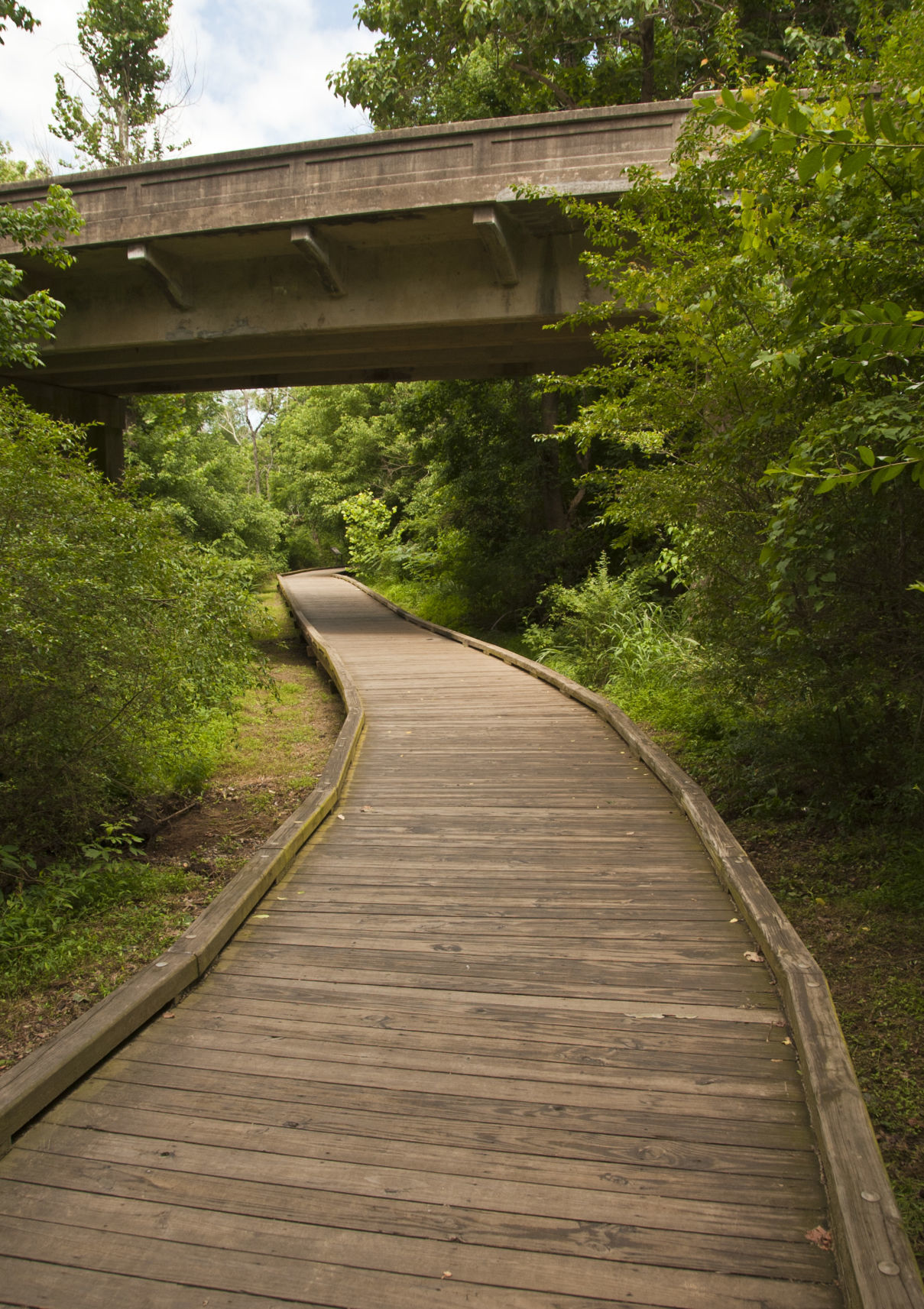 Hillsborough Mountains-to-Sea Trail